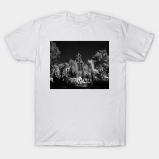 Cactus Garden, Capitol Park, Sacramento California T-Shirt